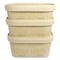 World Centric No Tree Rectangular Containers, 16 oz, 4.7 x 6.8 x 1.6, Natural, Sugarcane, 300PK CT-NT-16 - alternate 4